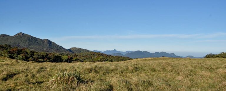 Horton Plains Cloud Forest