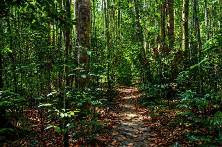 Horagolla National Park